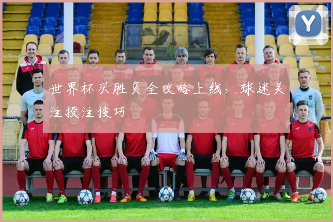 世界杯买胜负全攻略上线,球迷关注投注技巧