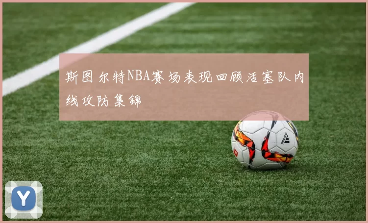 斯图尔特NBA赛场表现回顾活塞队内线攻防集锦