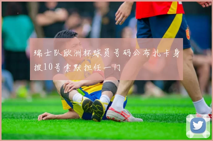 瑞士队欧洲杯球员号码公布扎卡身披10号索默担任一门