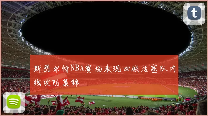 斯图尔特NBA赛场表现回顾活塞队内线攻防集锦