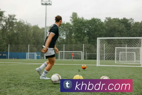 开云app登录入口 - 开云(中国)服务体系